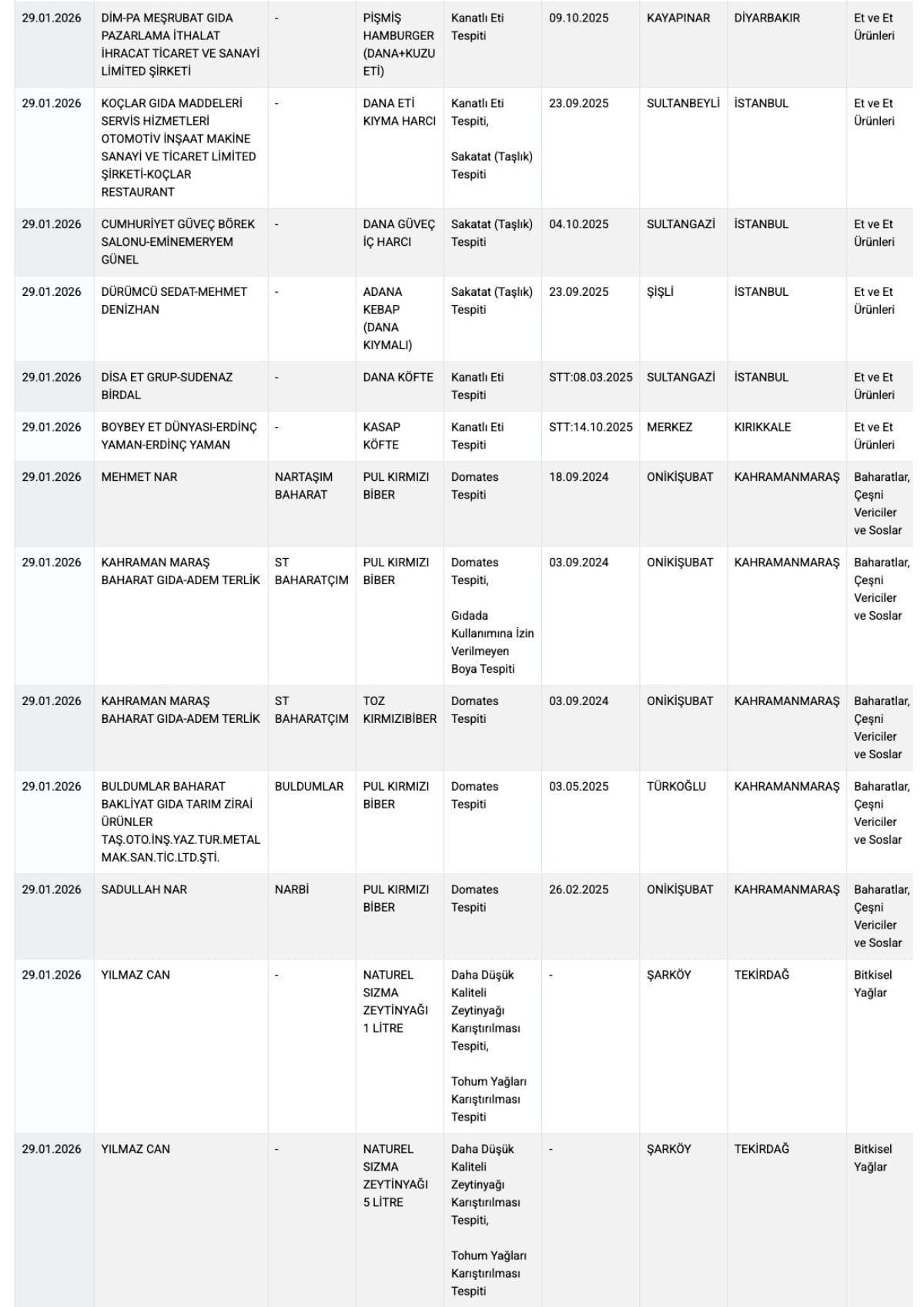 Denetim listesine dair doküman görüntüsü