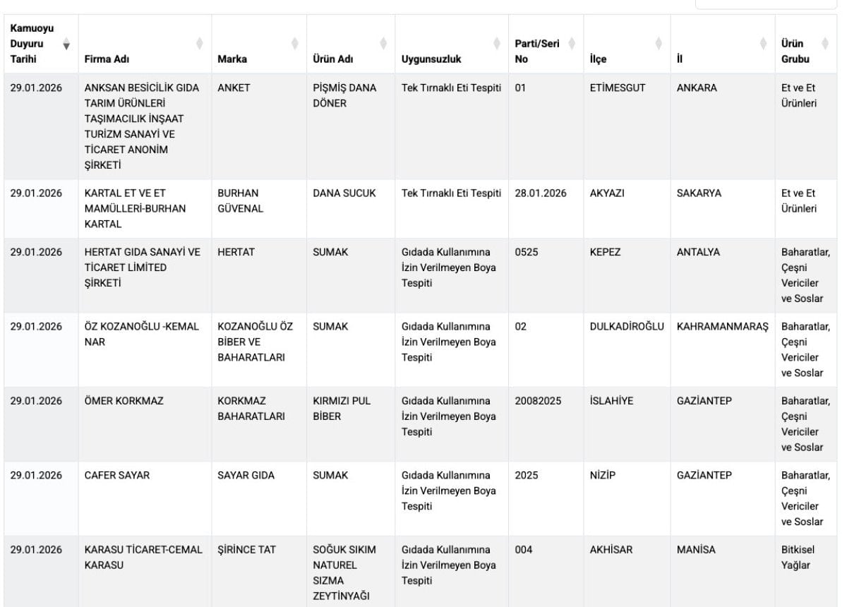 Denetim sonuçlarına ilişkin görsel